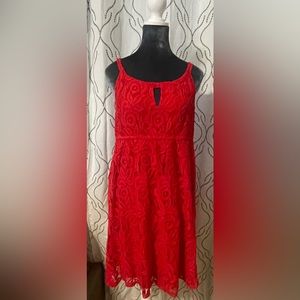 Ann Taylor Loft Lace Dress